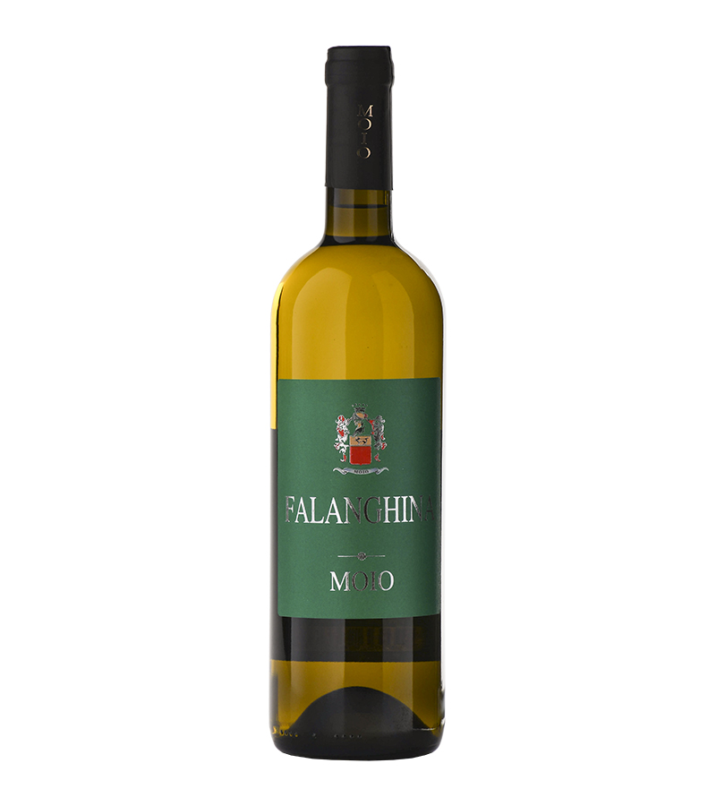 MOIO FALANGHINA CL75