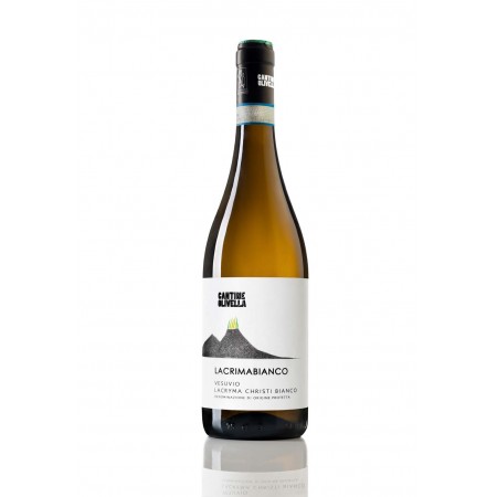 OLIVELLA LACRYMA CHRISTI DEL VESUVIO BIANCO DOP CL75