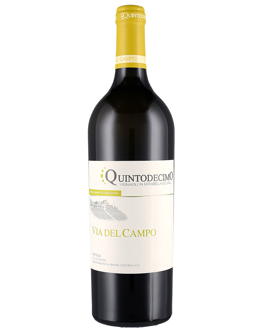 QUINTODECIMO FALANGHINA VIA DEL CAMPO CL75