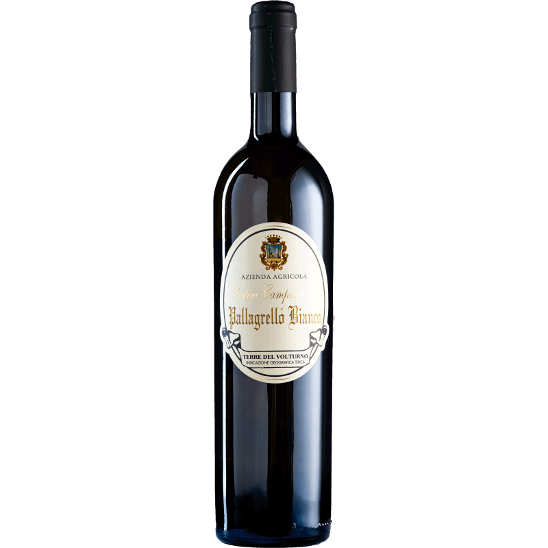 VESTINI CAMPAGNARO PALLAGRELLO BIANCO CL75