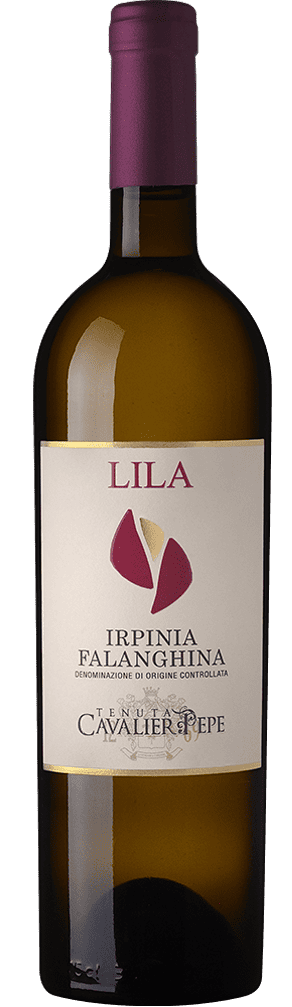 Calice Falanghina